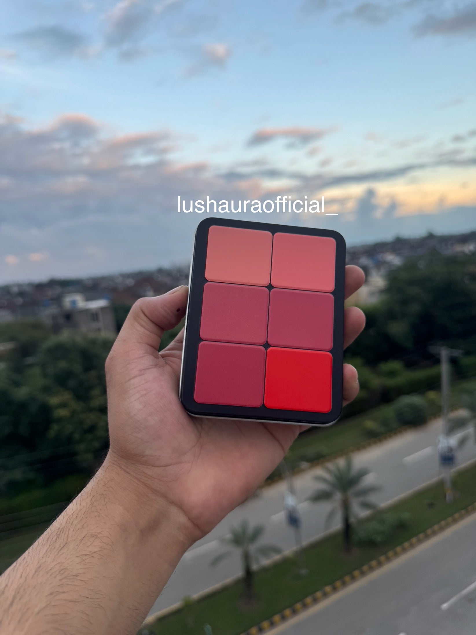 Carla secret cream blush, palette