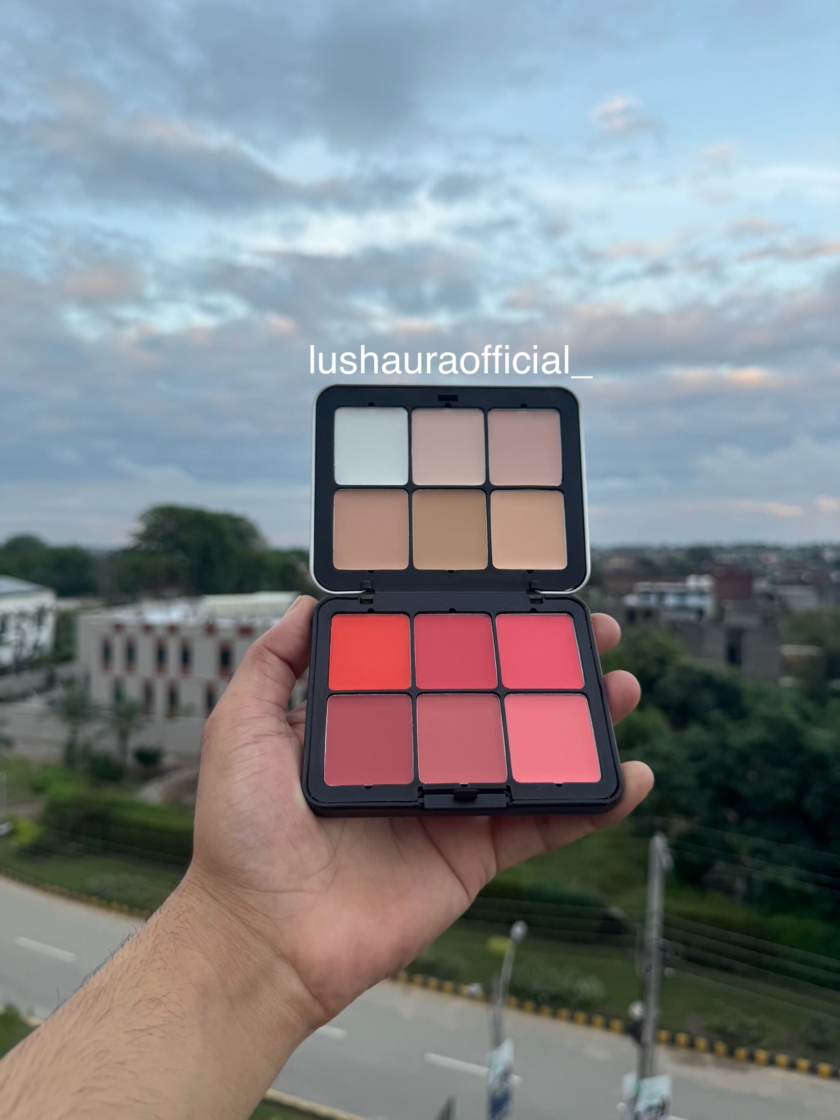 Carla secret cream blush, palette